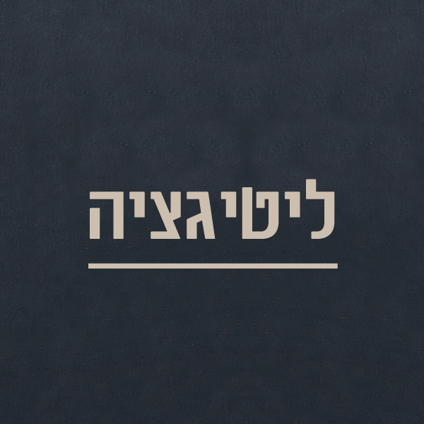 ליטיגציה