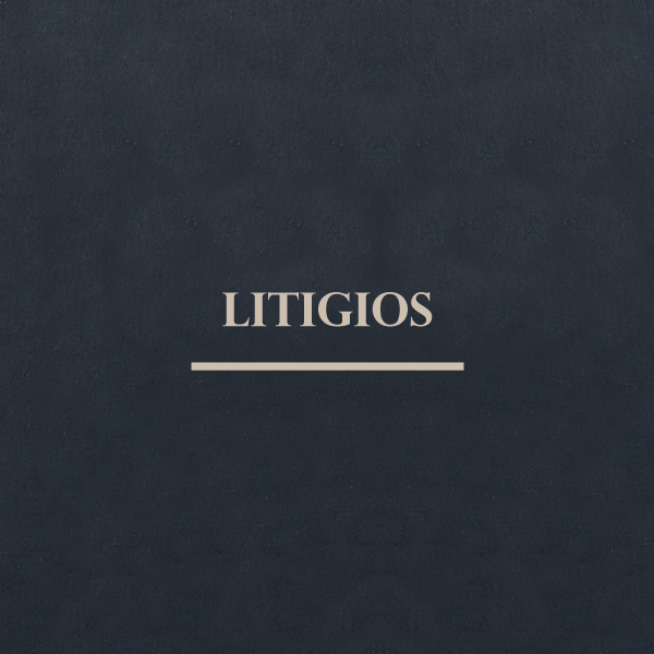 ליטיגציה
