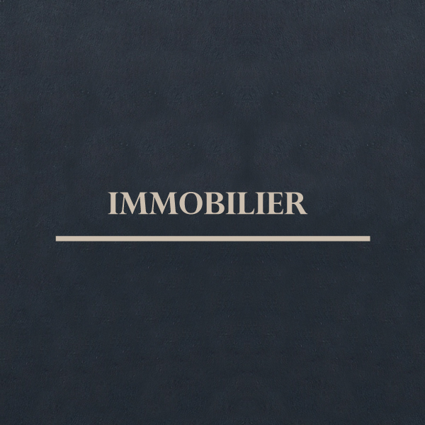 Immobilier 
